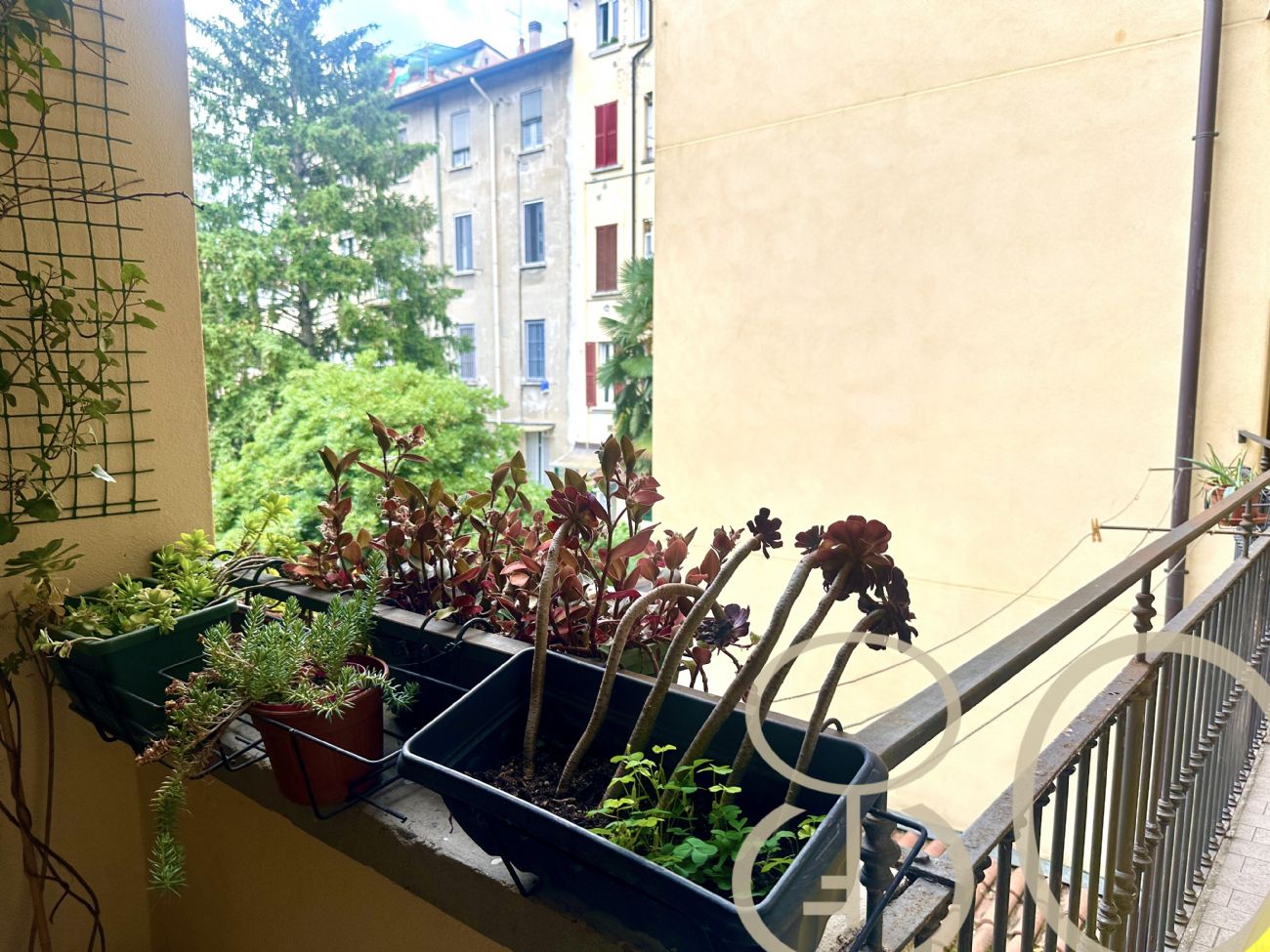 BILOCALE POMPONAZZI